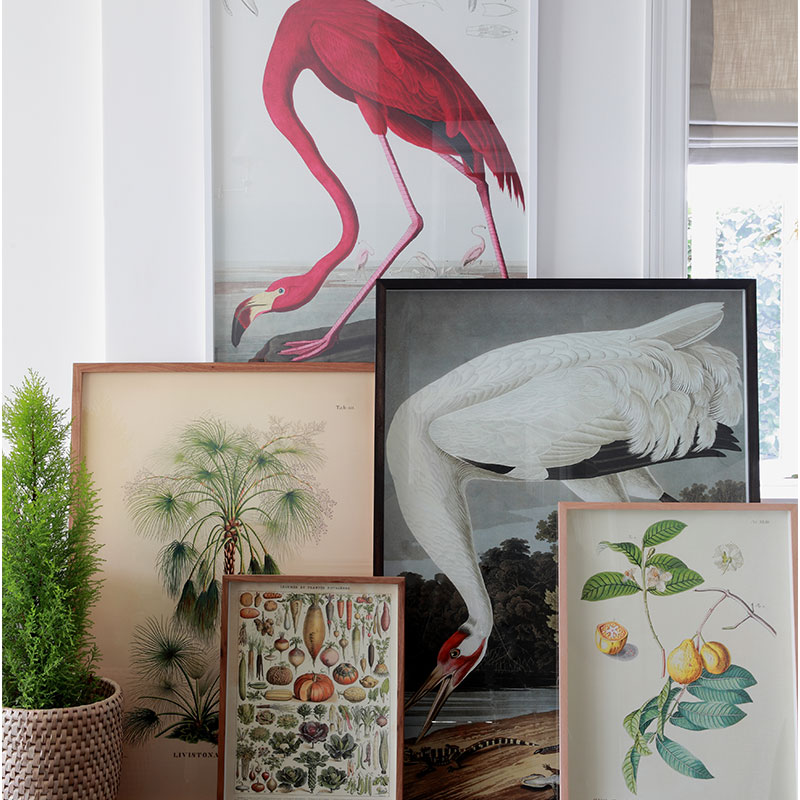 Prints