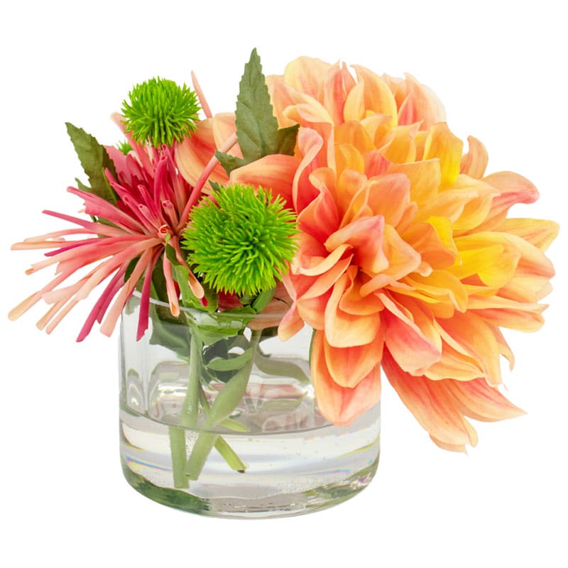 Salmon Dahlia with Spider Mum
