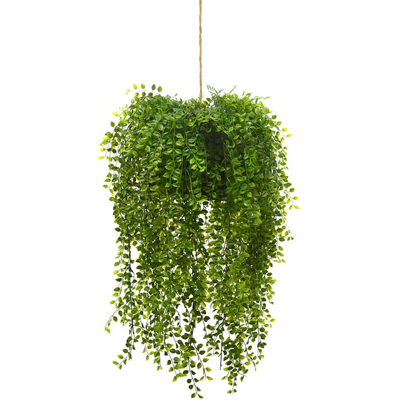 Hanging Moss Ball with Ruscus Bush