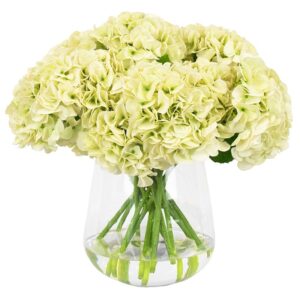 Green Hydrangea in Medium Vase