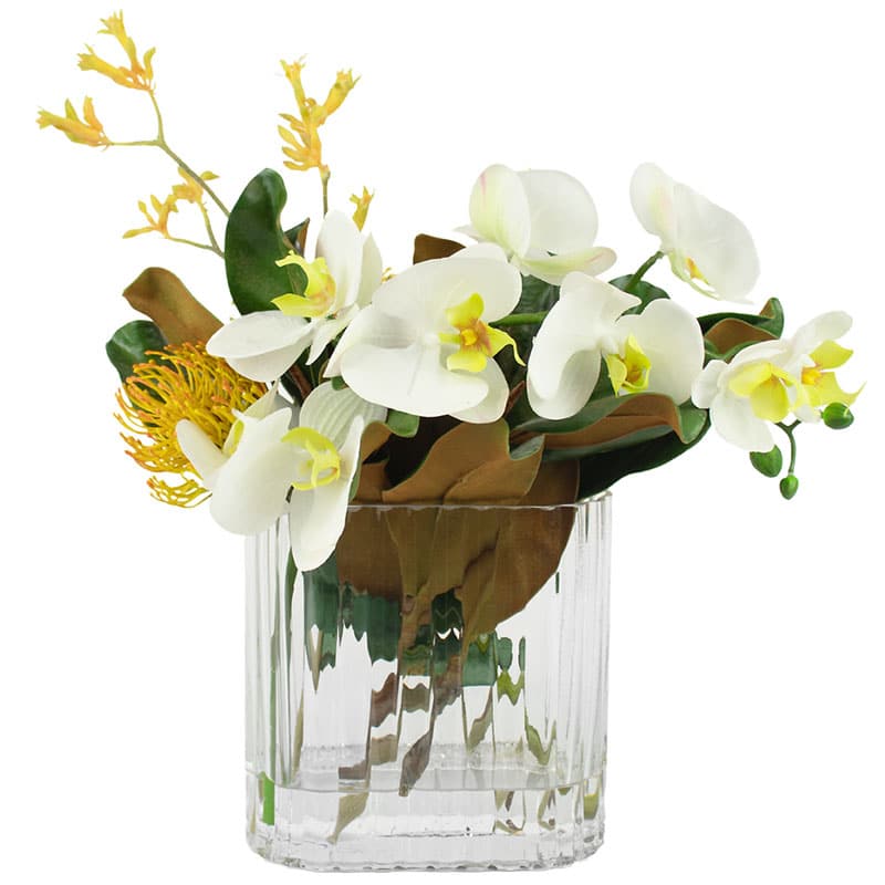 Orchid with Leucadendron in Vase