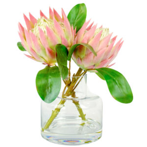 Mauve Protea in Jar Vase