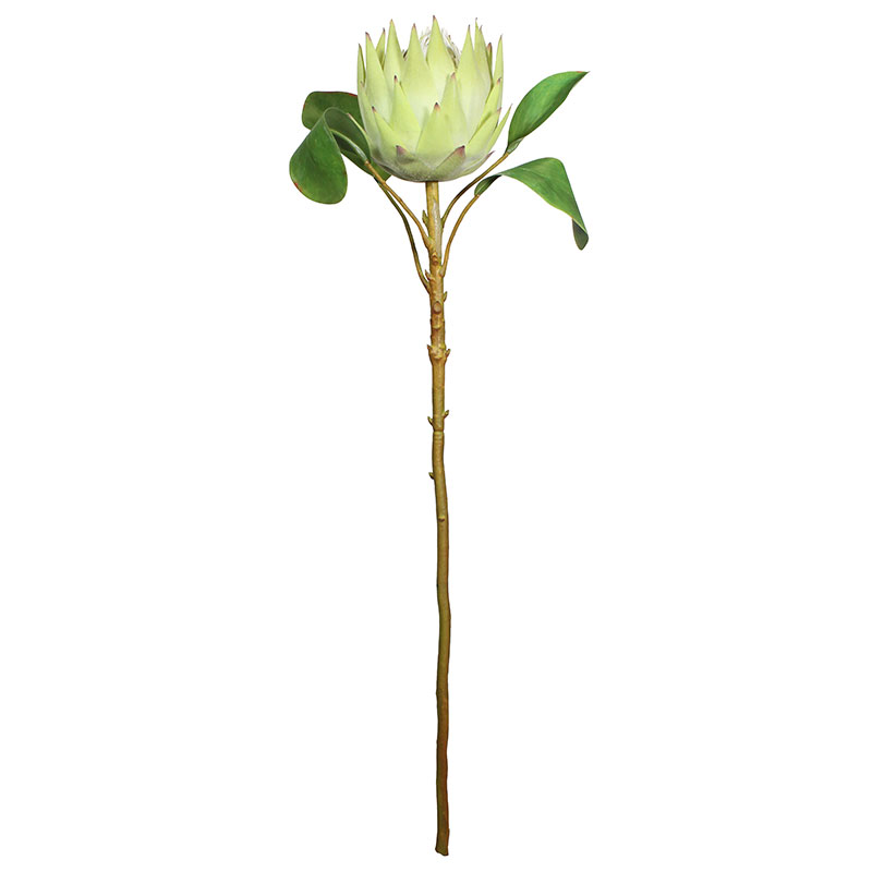 White Protea Spray