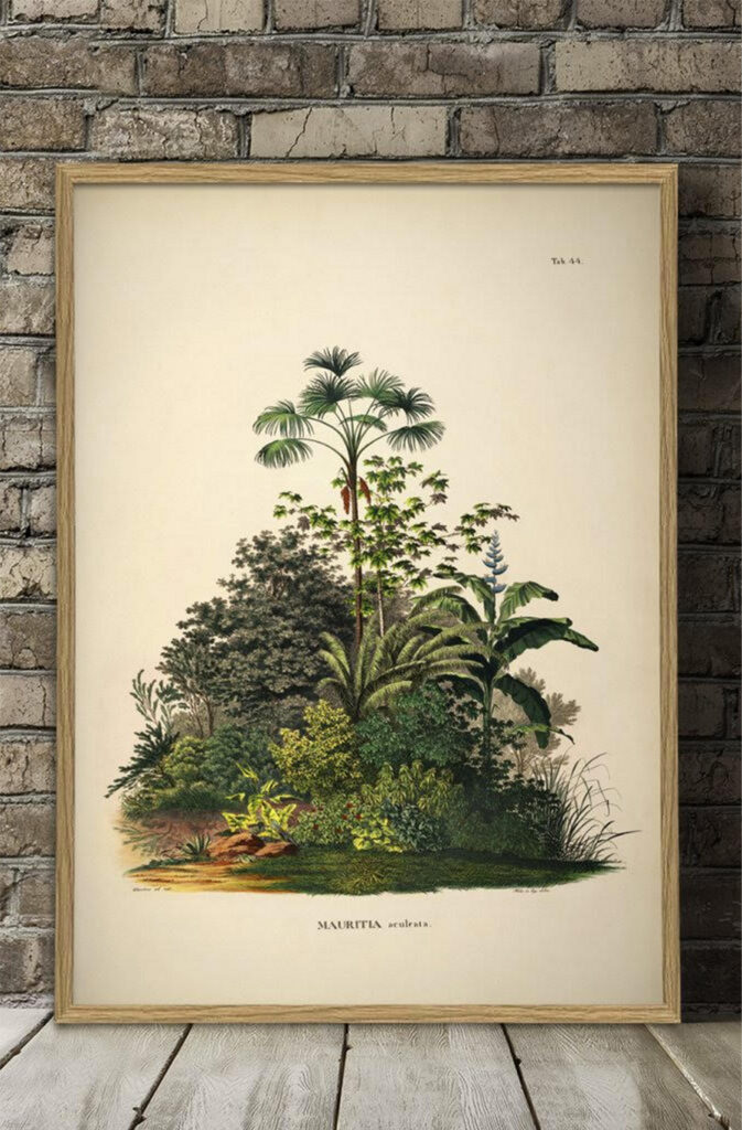 Bespoke Botanical Prints